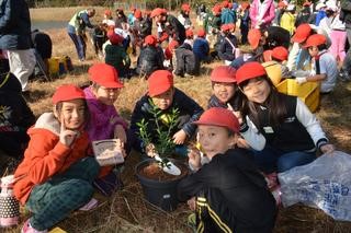 写真：小学校合同植樹会2017