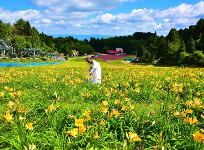 六甲山カンツリーハウスの写真2