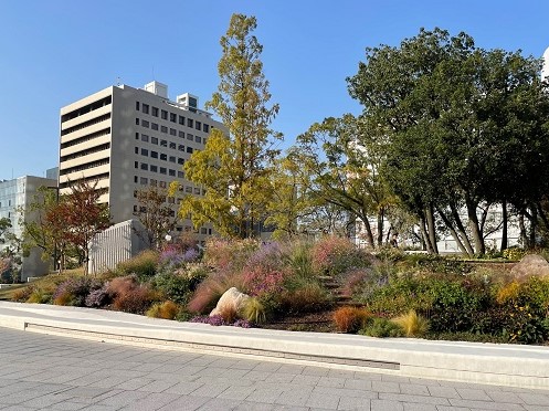 「LivingNatureKobe」の取り組みとして、神戸の自然の景を感じられるガーデンを整備