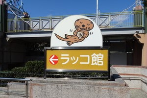 ラッコ館