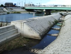 西区明石川の魚道の写真