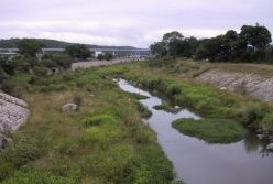 西区の伊川（谷田橋付近）の写真