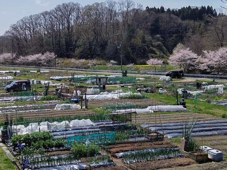 神付ふるさと村