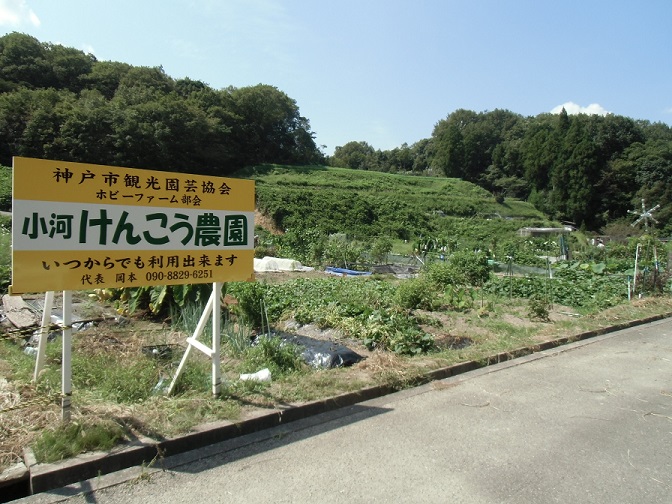 けんこう農園