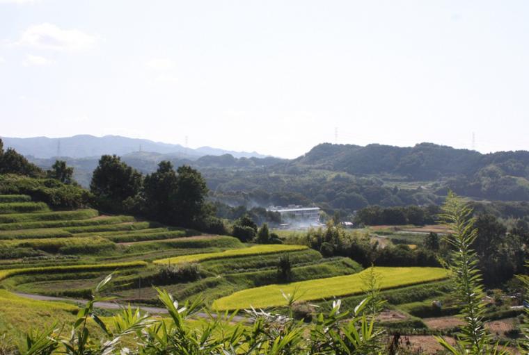 神戸の里山の風景